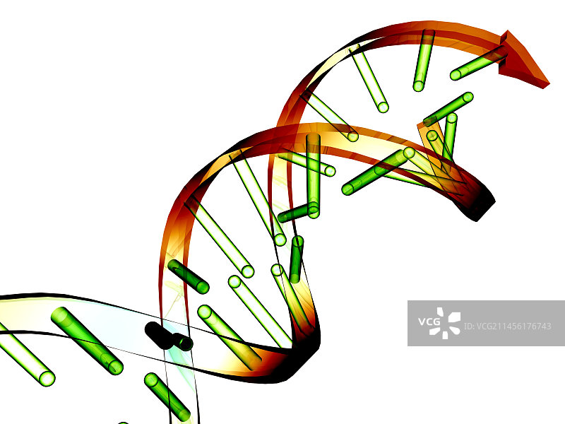 DNA分子结构图图片素材