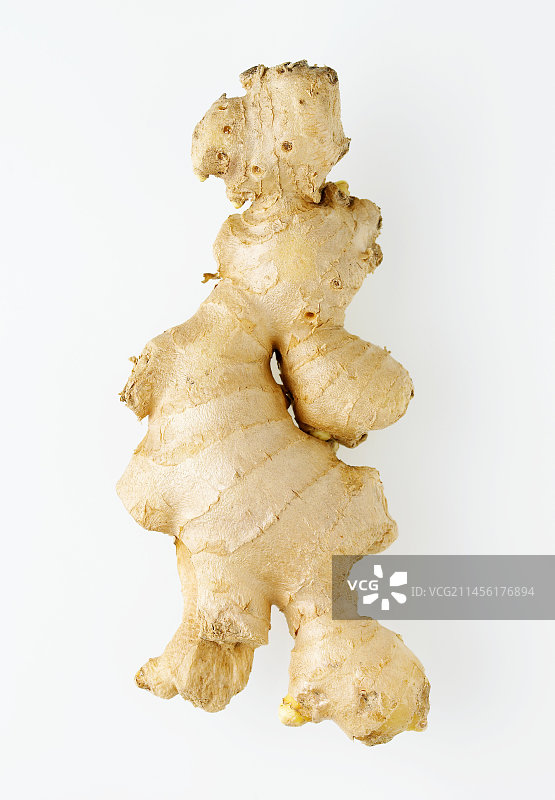 生姜根图片素材