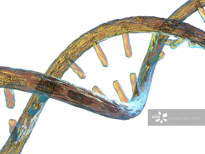 DNA分子结构图图片素材