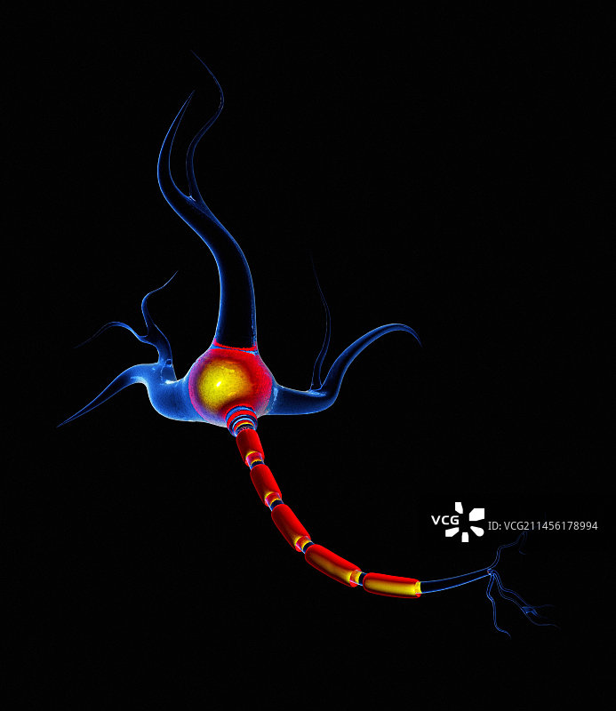 神经细胞艺术图图片素材