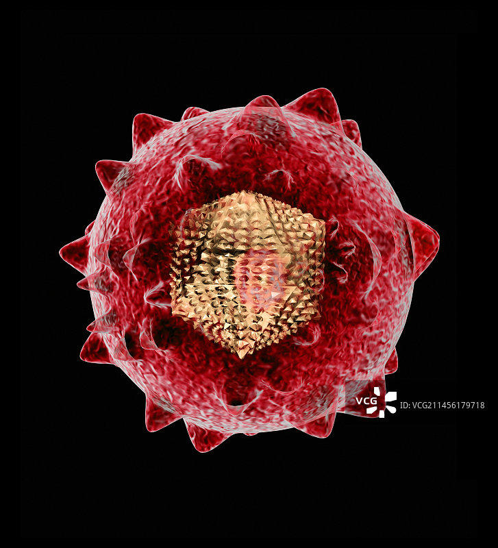 丙型肝炎病毒艺术图图片素材