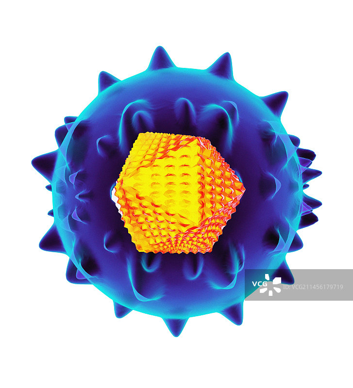 丙型肝炎病毒艺术图图片素材