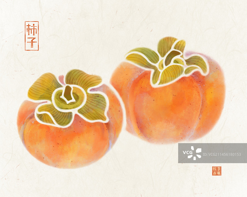 手绘秋天的水果成熟的柿子插画图片素材