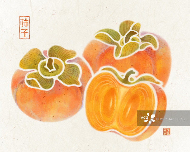 手绘秋天的水果成熟的柿子插画图片素材