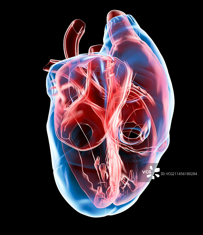 人心、艺术品图片素材