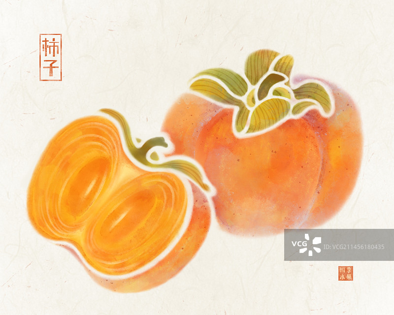 手绘秋天的水果成熟的柿子插画图片素材