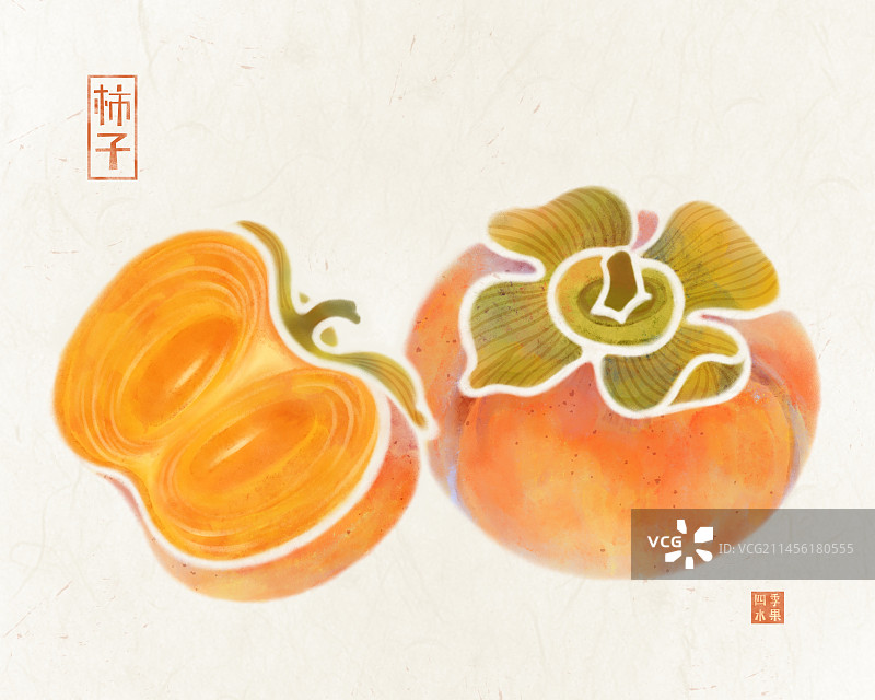 手绘秋天的水果成熟的柿子插画图片素材