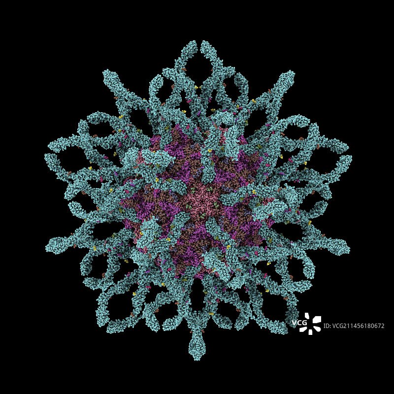 柯萨奇B3病毒颗粒图片素材