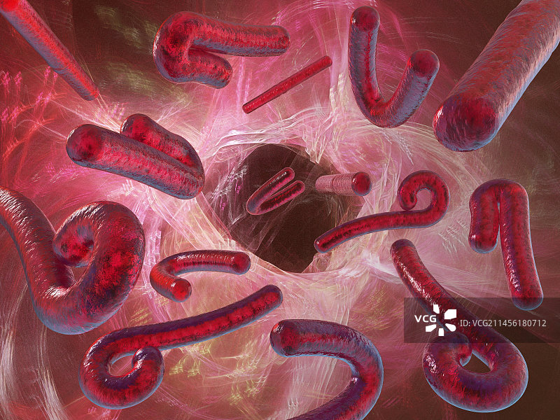 埃博拉病毒图片素材