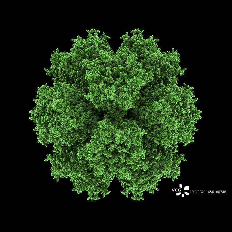 腺病毒颗粒图片素材