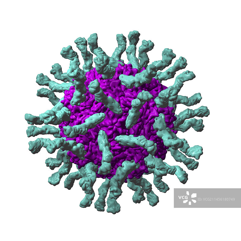 脊髓灰质炎病毒颗粒图片素材