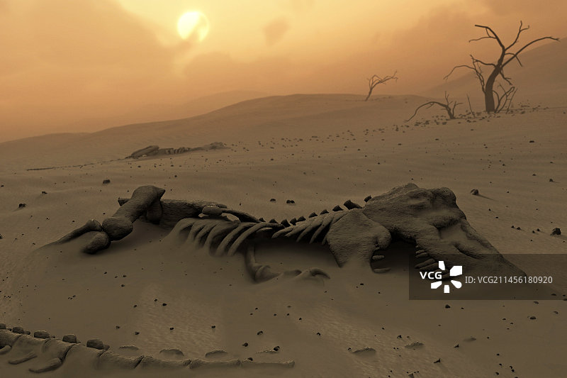 沙漠中的恐龙骨骼插画图片素材