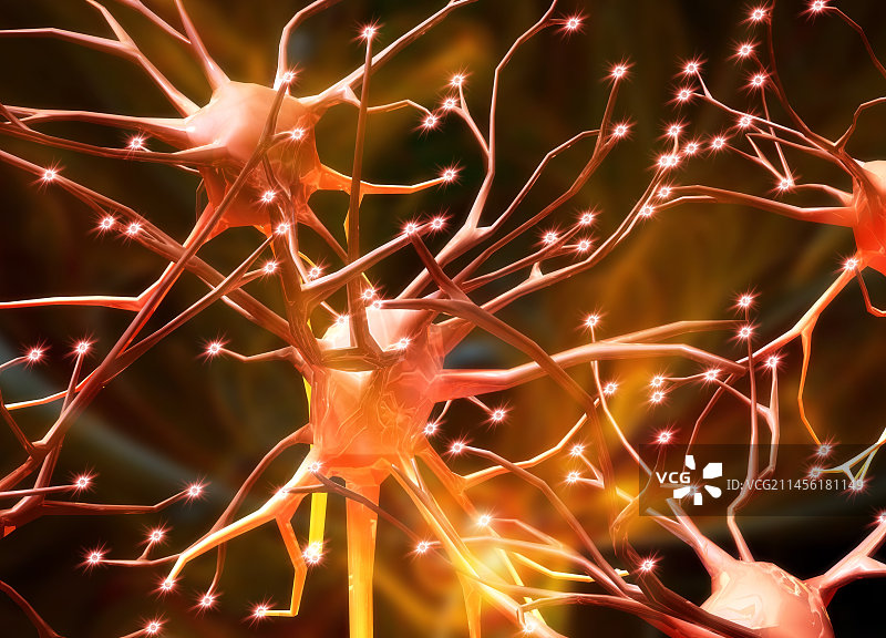 神经细胞艺术图图片素材