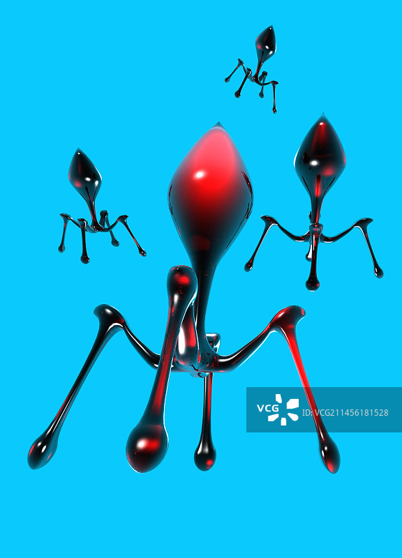 噬菌体艺术作品图片素材