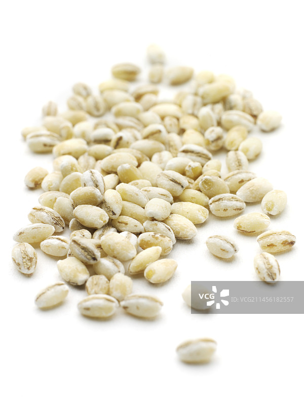 珍珠大麦图片素材