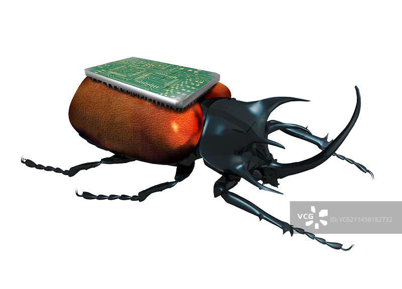 昆虫间谍概念艺术图片素材