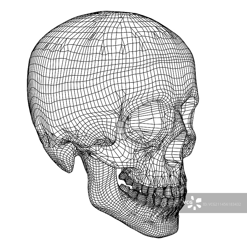 头骨电脑艺术品图片素材