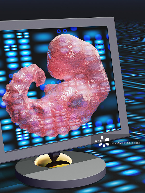 胚胎筛查概念艺术图片素材