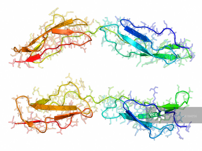 牛痘病毒补体控制蛋白图片素材