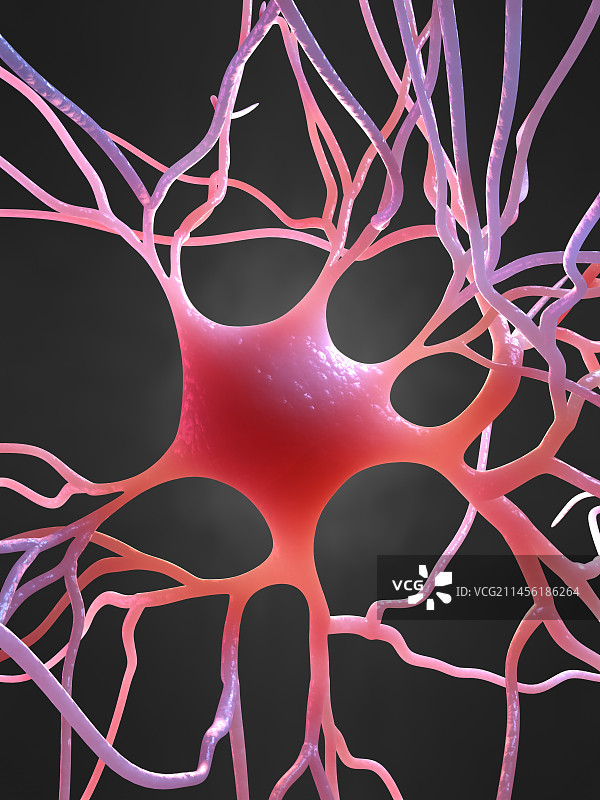 神经细胞艺术图图片素材