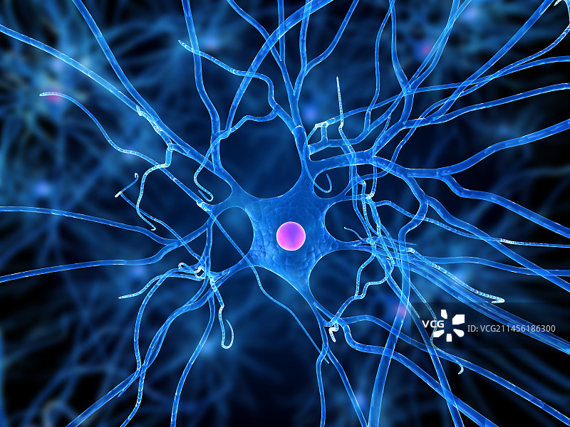 神经细胞艺术图图片素材