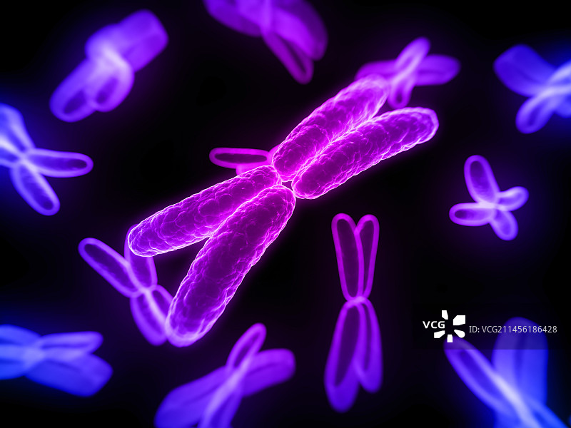 染色体艺术图图片素材