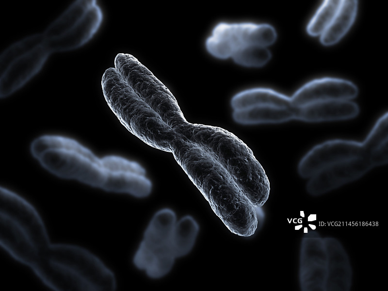 染色体艺术图图片素材