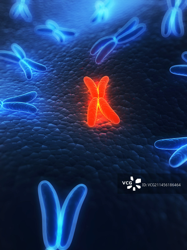 染色体艺术图图片素材