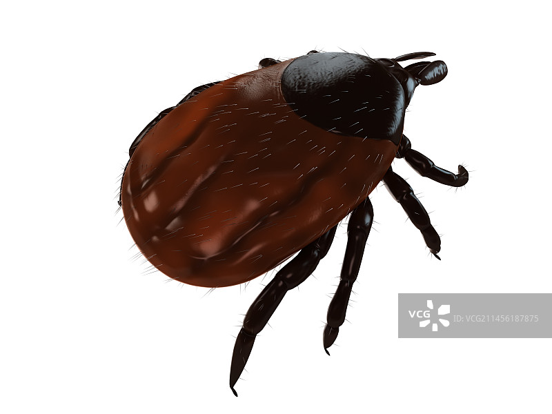 勾号艺术作品图片素材