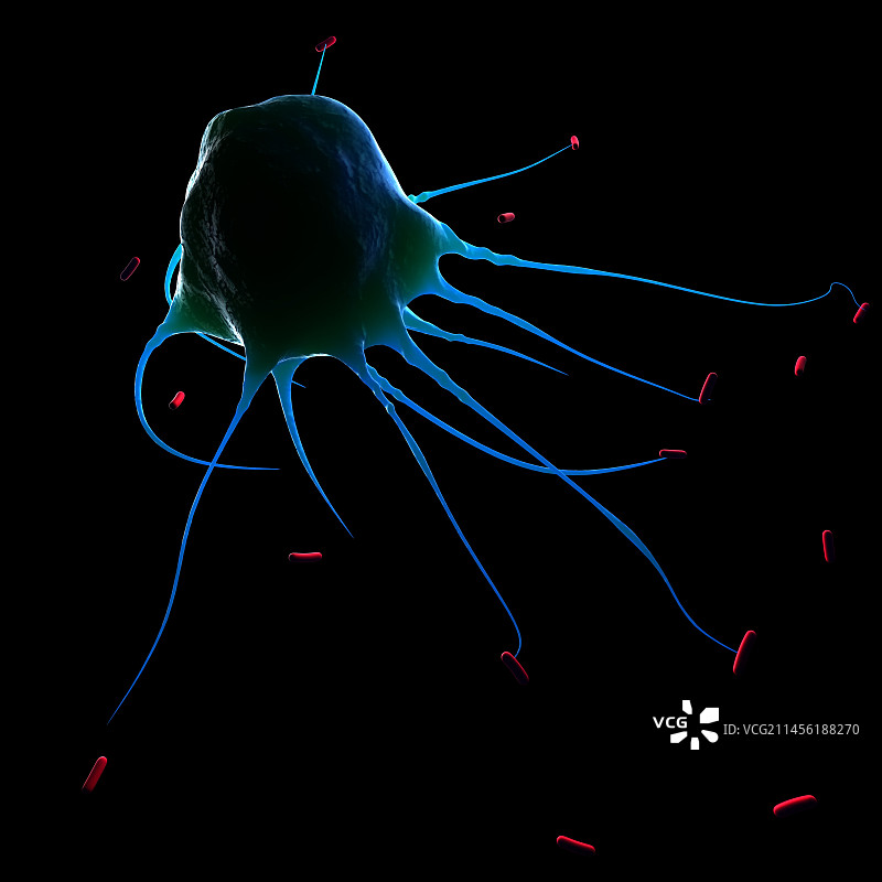 巨噬细胞攻击细菌艺术图图片素材