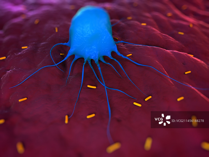 巨噬细胞攻击细菌艺术图图片素材