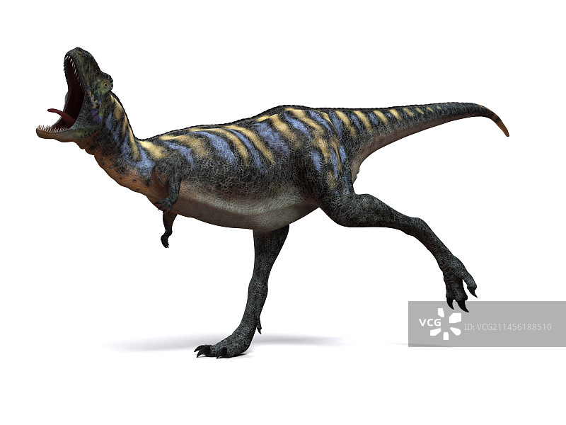 阿根廷龙恐龙艺术作品图片素材