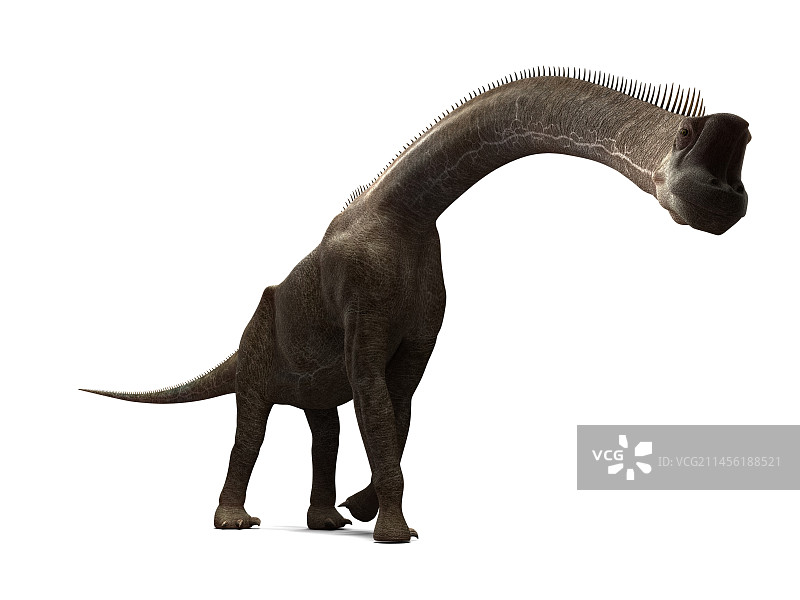 腕龙恐龙艺术作品图片素材