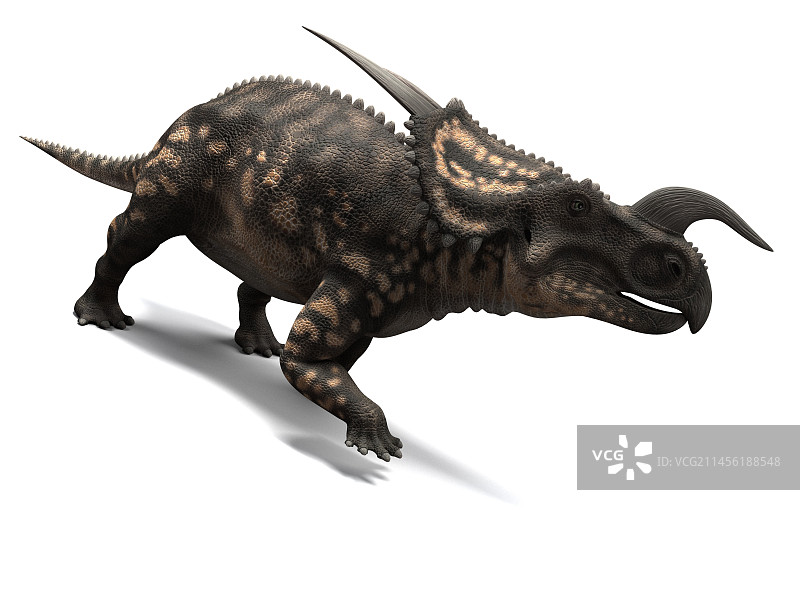 埃尼俄龙恐龙，艺术作品图片素材