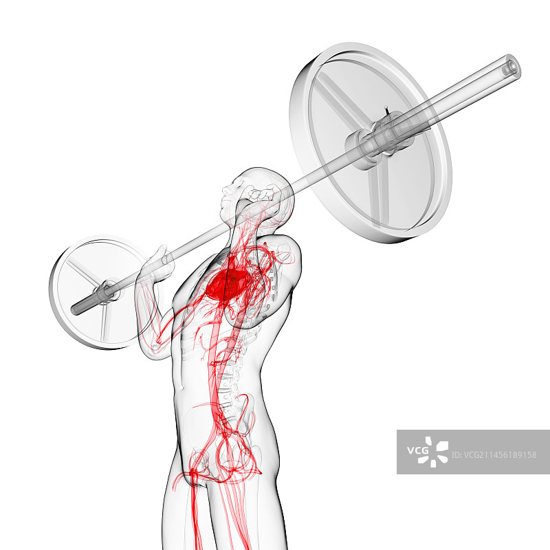 举重运动员艺术作品图片素材