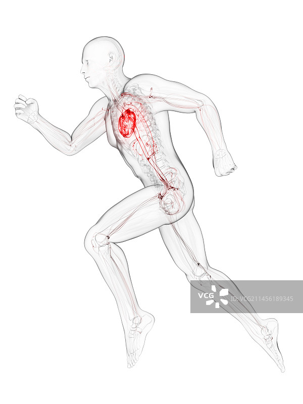 赛跑运动员艺术作品图片素材