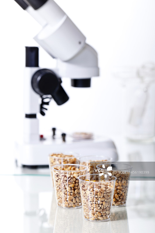 食品研究概念图图片素材