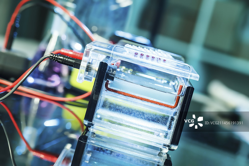 凝胶电泳图片素材