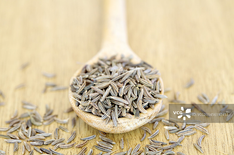 香菜籽图片素材