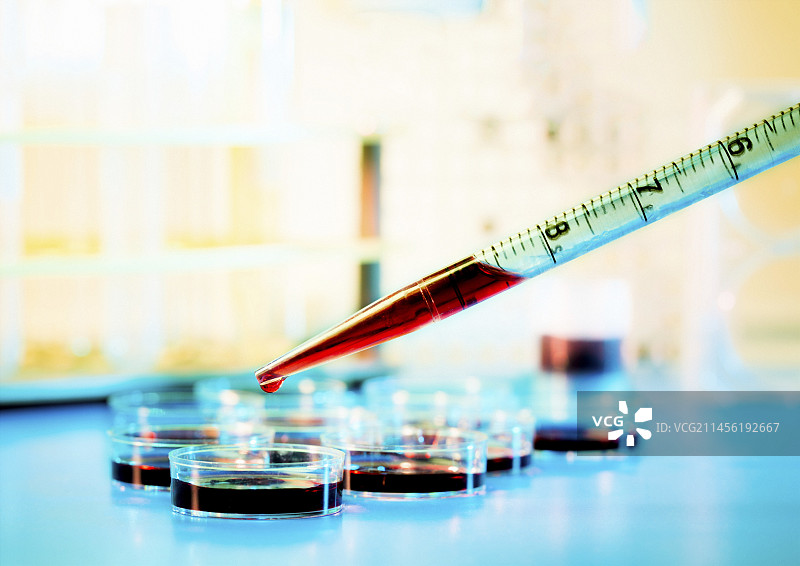 生物研究图片素材