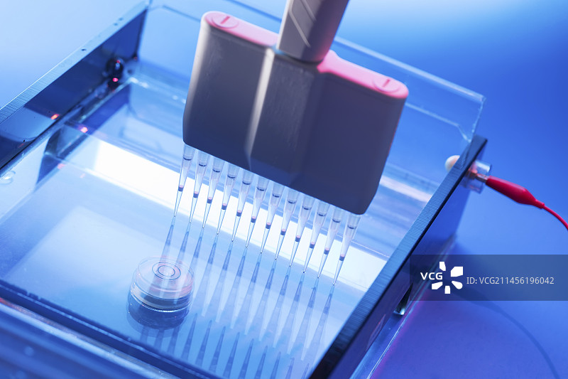 DNA样本图片素材