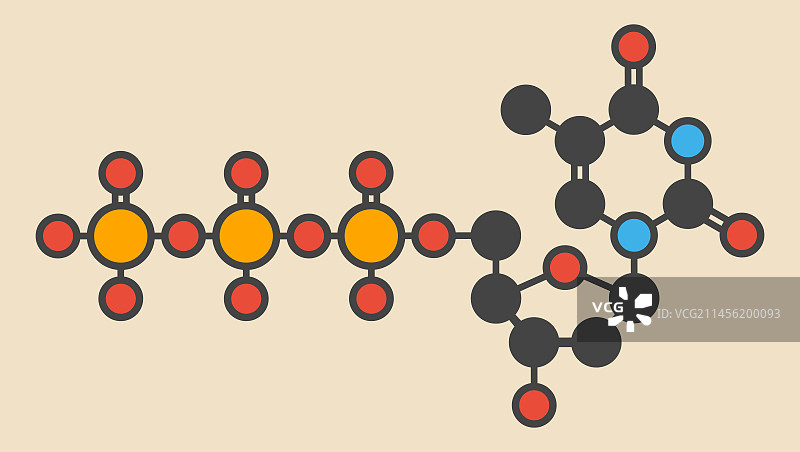 胸腺嘧啶三磷酸分子图片素材