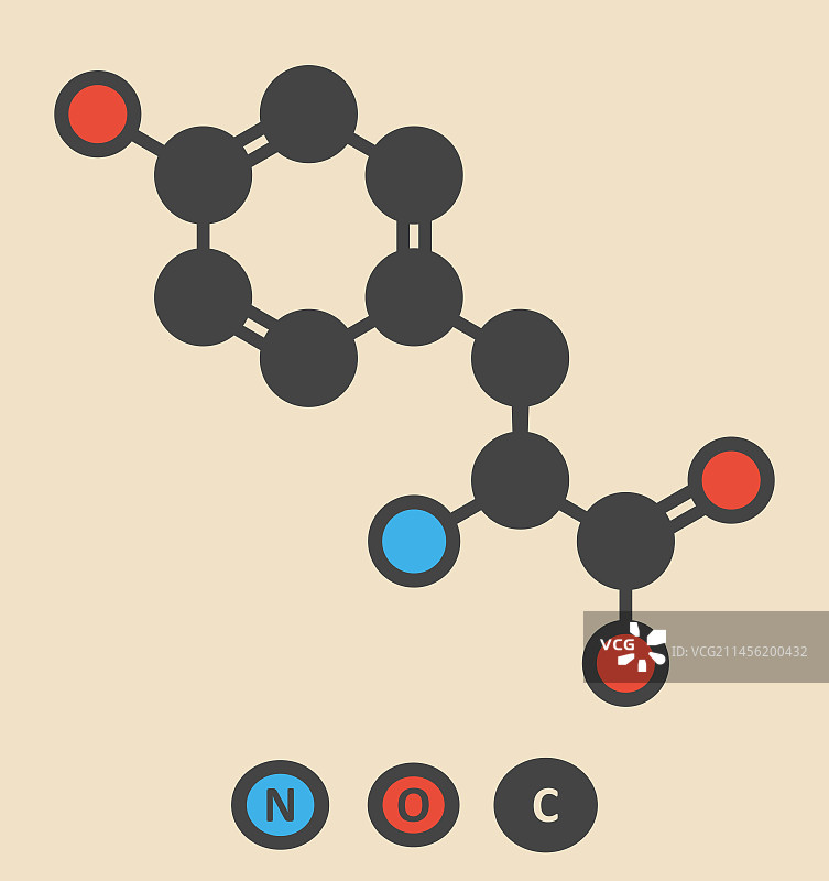 酪氨酸氨基酸分子图片素材