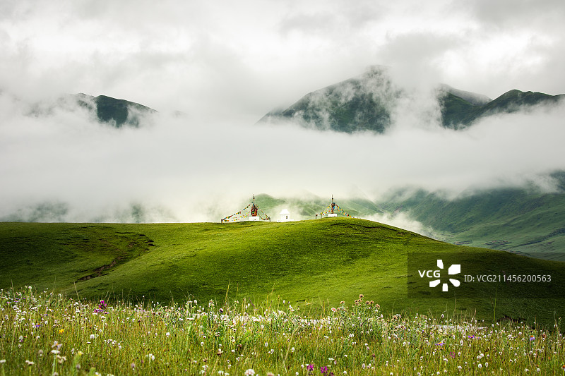 云山花海图片素材