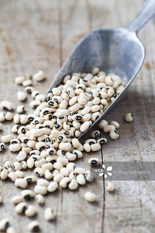 黑眼豆图片素材