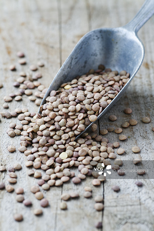 绿色小扁豆图片素材