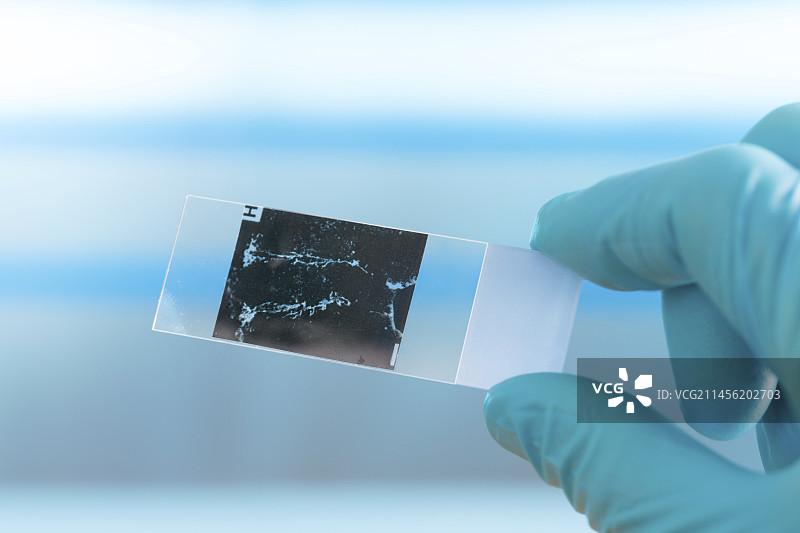 显微镜载玻片图片素材