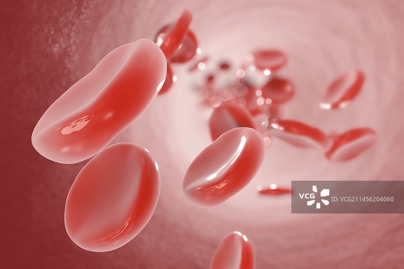红血球，插图图片素材
