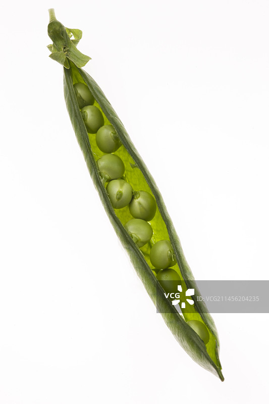豌豆荚图片素材