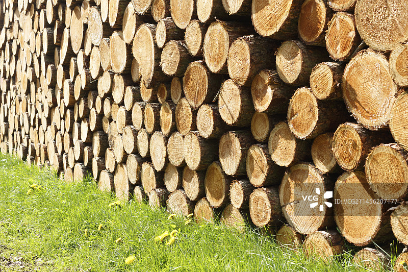 堆叠的原木图片素材